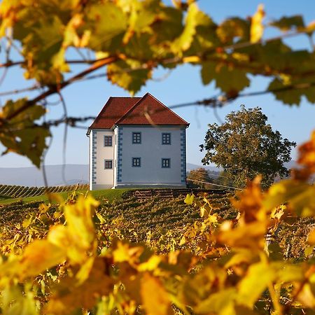 Wine Grower'S Mansion Zlati Gric Διαμέρισμα Slovenske Konjice Εξωτερικό φωτογραφία