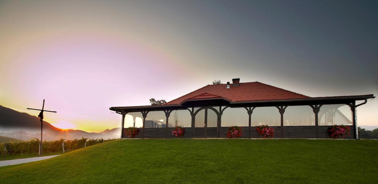 Wine Grower'S Mansion Zlati Gric Διαμέρισμα Slovenske Konjice Εξωτερικό φωτογραφία