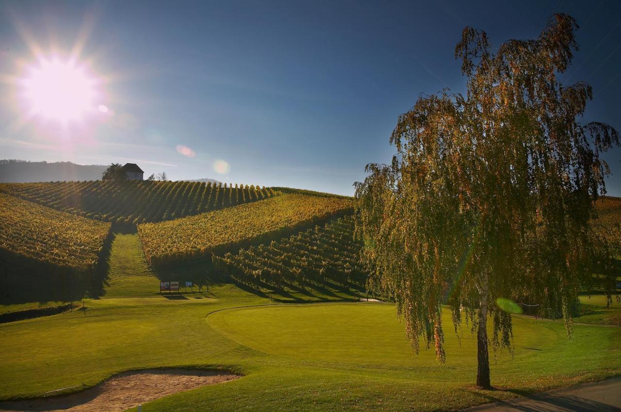 Wine Grower'S Mansion Zlati Gric Διαμέρισμα Slovenske Konjice Εξωτερικό φωτογραφία